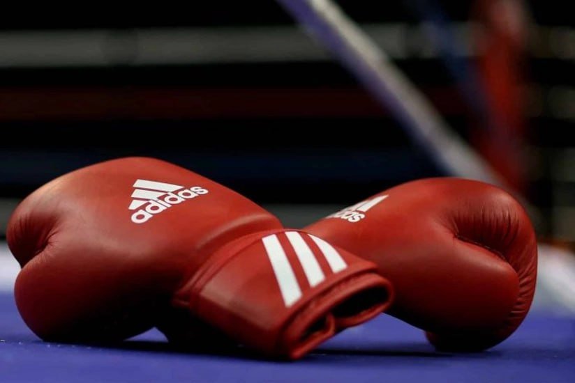 Boksçularımız Türkiyədə 32 medal QAZANDI Boksçularımız Türkiyədə 32 medal QAZANDI
