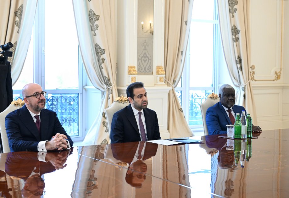 İlham Əliyev “Zayed İnsan Qardaşlığı Mükafatı” ilə bağlı nümayəndə heyətini qəbul etdi - FOTO/VİDEO - foto 12
