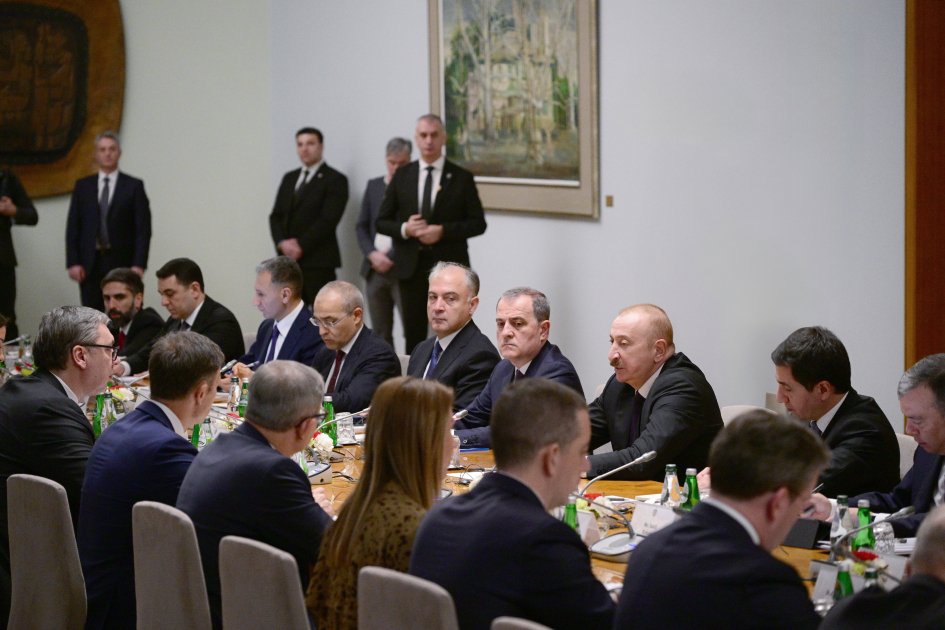 Belqradda Azərbaycan və Serbiya arasında Strateji Tərəfdaşlıq Şurasının 1-ci iclası keçirildi - FOTO/VİDEO - foto 3