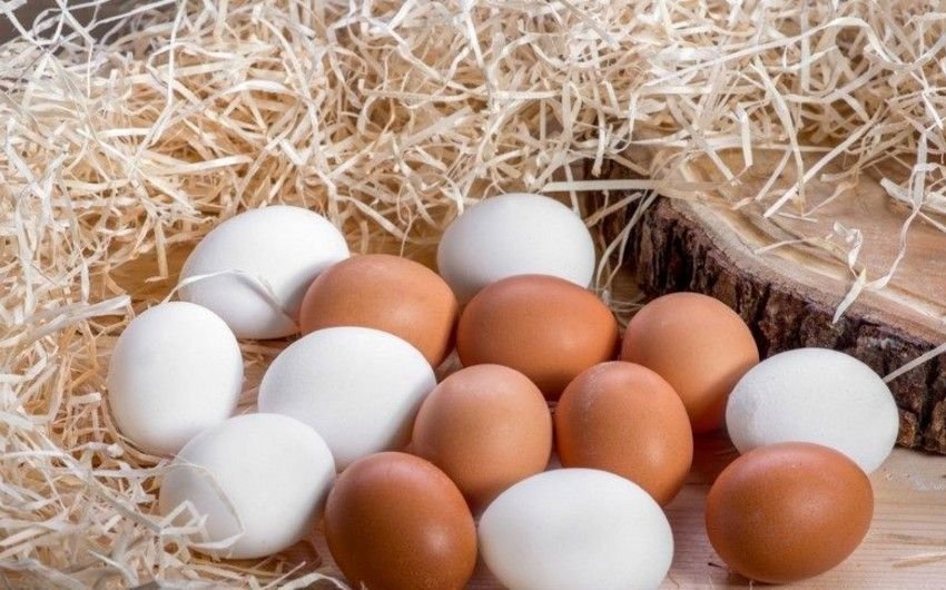 Marketlərdə saxta yumurta satılır? &ndash; AÇIQLAMA