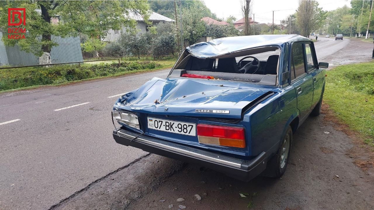 Lənkəranda çürümüş ağac avtomobilin üzərinə düşdü - Xəsarət alanlar var – FOTO - foto 1