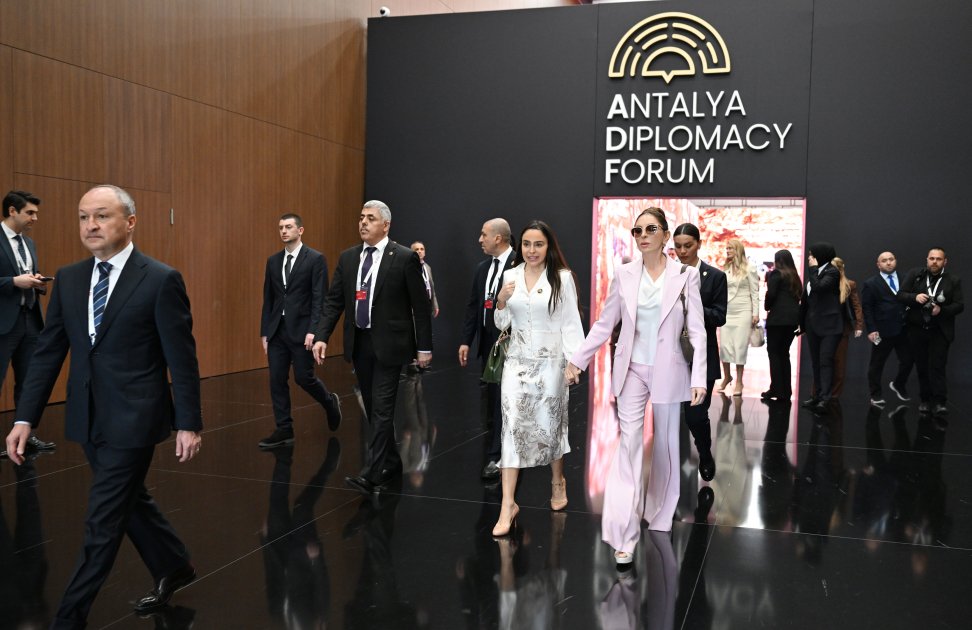 Mehriban Əliyeva Fələstinlə bağlı panel iclasda – FOTO - foto 15