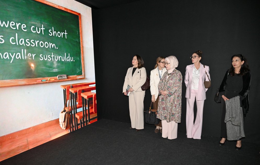 Mehriban Əliyeva Fələstinlə bağlı panel iclasda – FOTO - foto 13