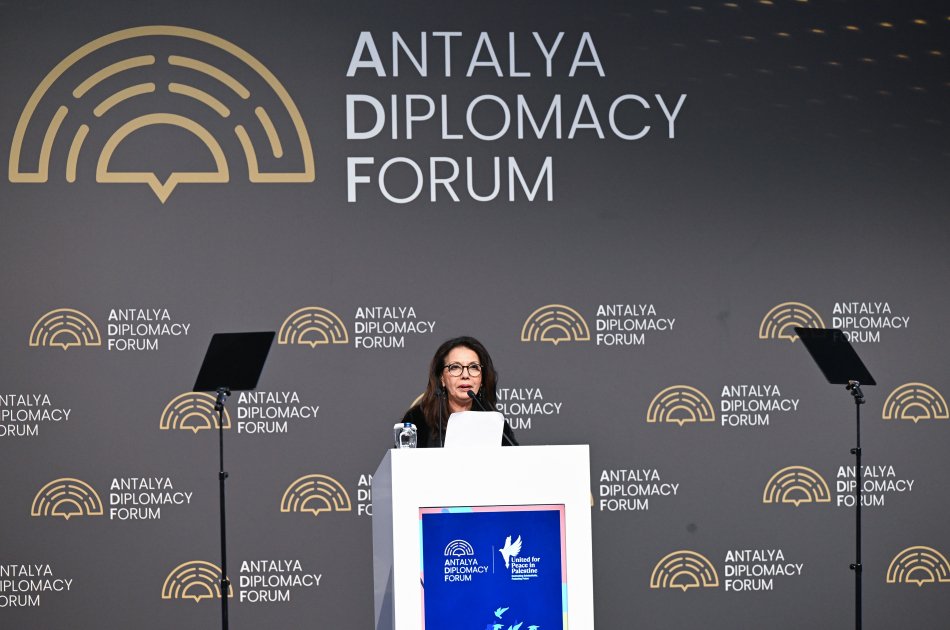 Mehriban Əliyeva Fələstinlə bağlı panel iclasda – FOTO - foto 10