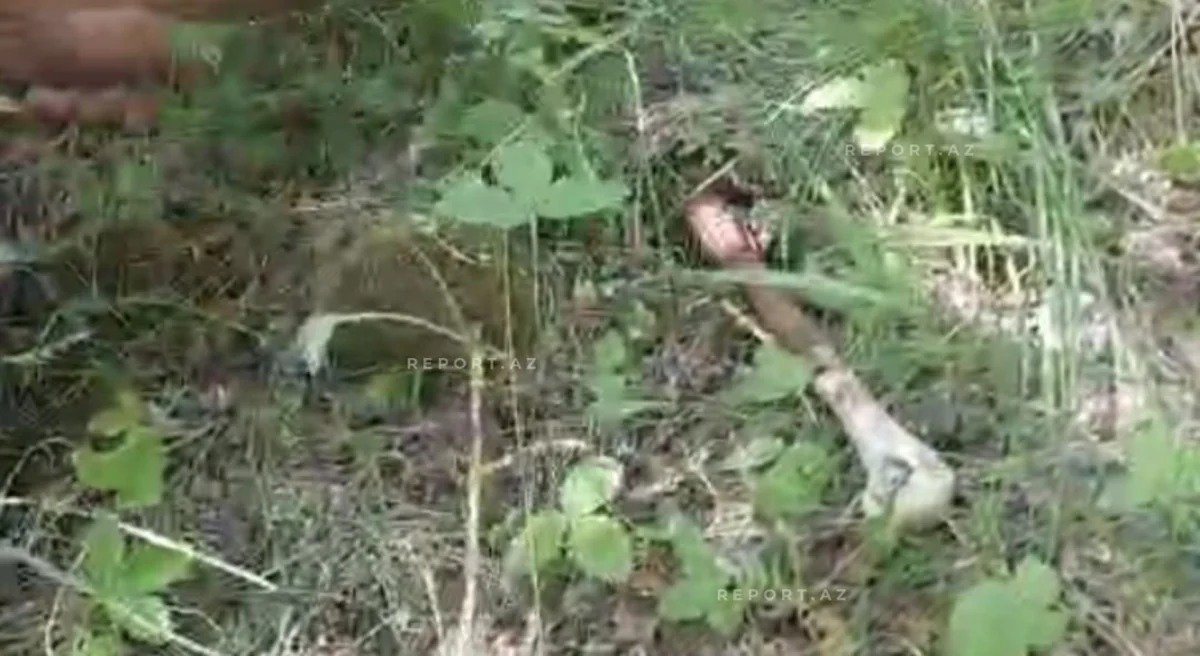 Ağdərədə itkin düşmüş ailəyə aid olduğu ehtimal edilən sümük qalıqları tapıldı – FOTO - foto 1