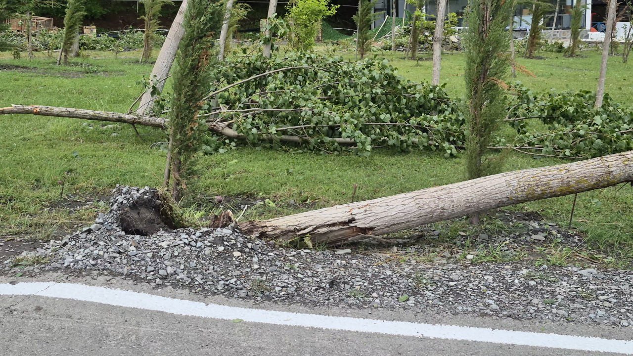 Qəbələbə güclü külək və leysan: Evlərin damı uçdu, işıqlar kəsildi – FOTO - foto 4