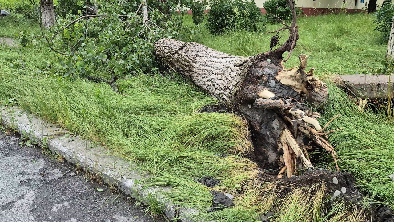Qəbələbə güclü külək və leysan: Evlərin damı uçdu, işıqlar kəsildi – FOTO - foto 2