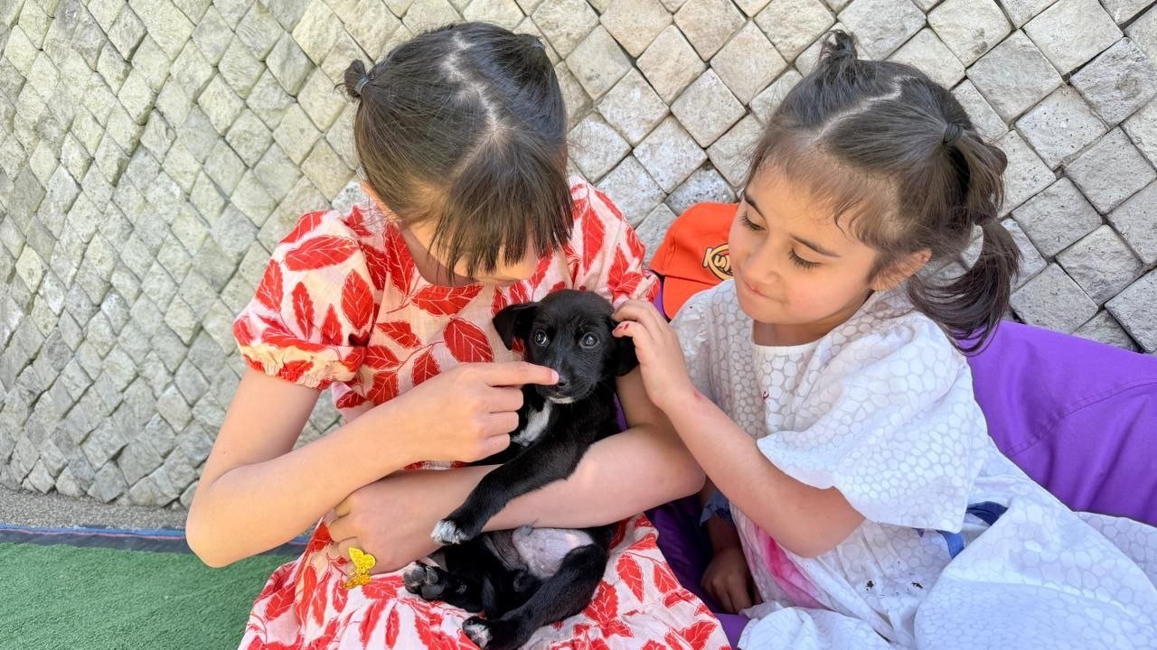 Bakı Zooloji Parkında Uşaqların Beynəlxalq Müdafiəsi Günü münasibətilə bayram tədbiri keçirilib - FOTO - foto 7