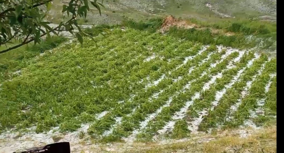 Qubanın dağlıq kəndlərinə dolu düşdü: Təsərrüfatlara ziyan dəydi - FOTO-VİDEO - foto 2