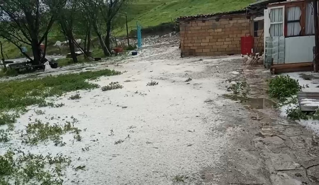 Qubanın dağlıq kəndlərinə dolu düşdü: Təsərrüfatlara ziyan dəydi - FOTO-VİDEO - foto 1