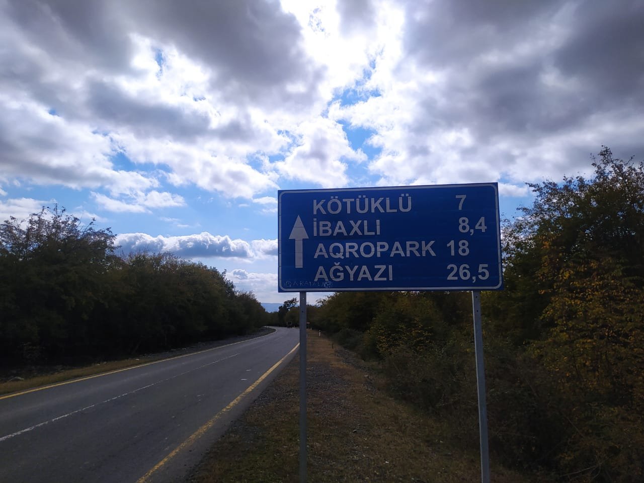 Qaxda idarəetmədən çıxan maşın ağaca çırpıldı - FOTO - foto 3
