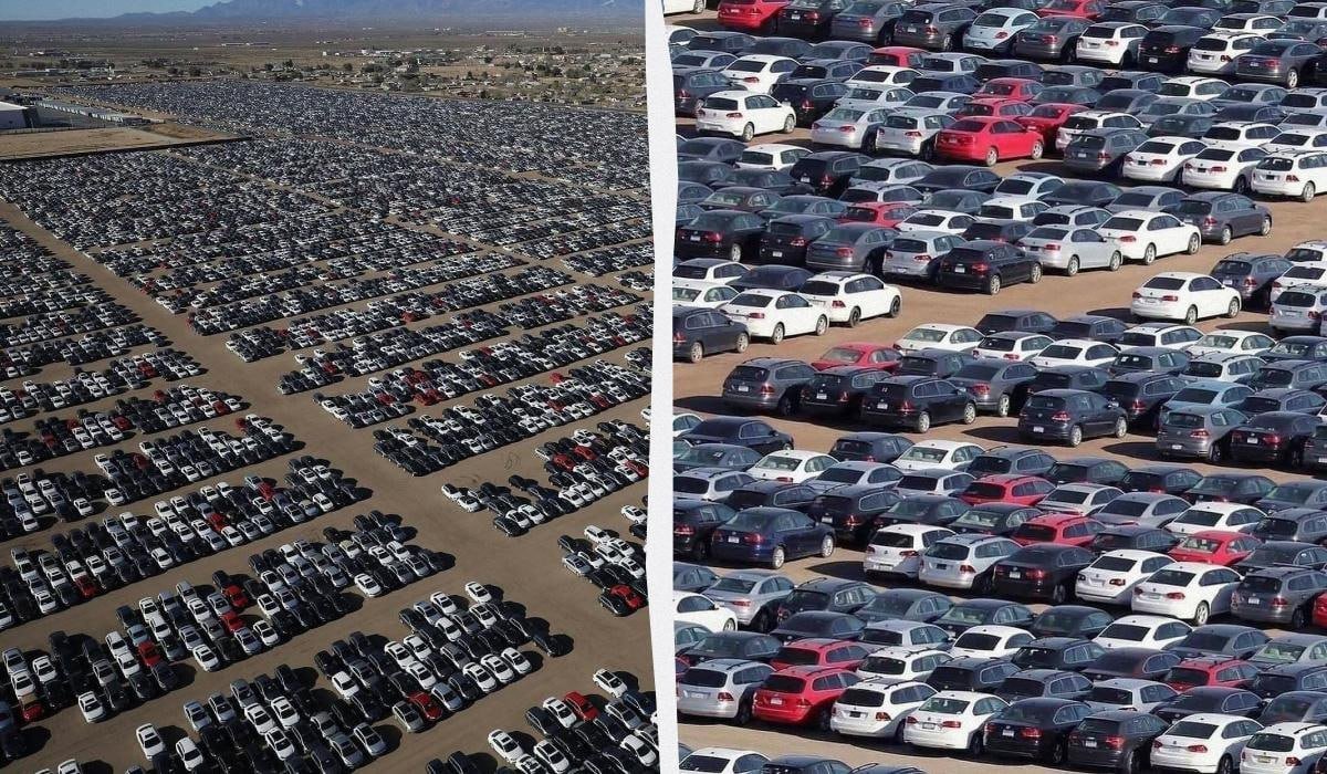 Səhrada 350 min Volkswagen və Audi qəbiristanı: Avtomobillər ora niyə atılıblar? – FOTO - foto 1