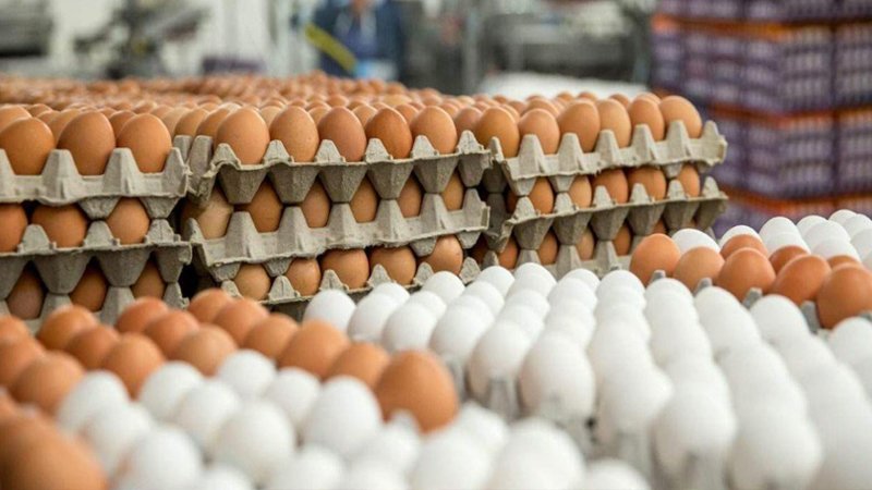 Azərbaycanda yumurtanın qiyməti 1 qəpiyə düşdü: Səbəb nədir? Azərbaycanda yumurtanın qiyməti 1 qəpiyə düşdü: Səbəb nədir?