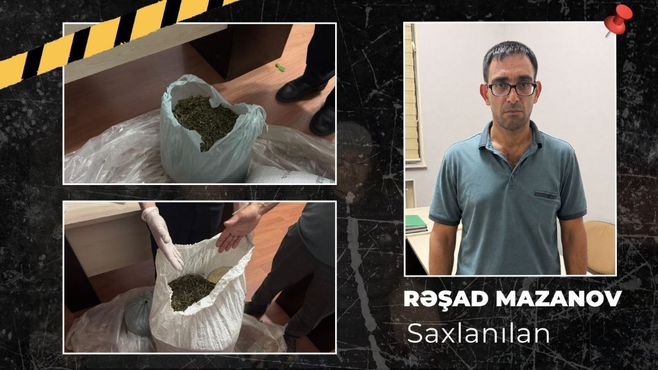 İsmayıllıda meşədə külli miqdarda narkotik aşkarlandı – FOTO/VİDEO - foto 2