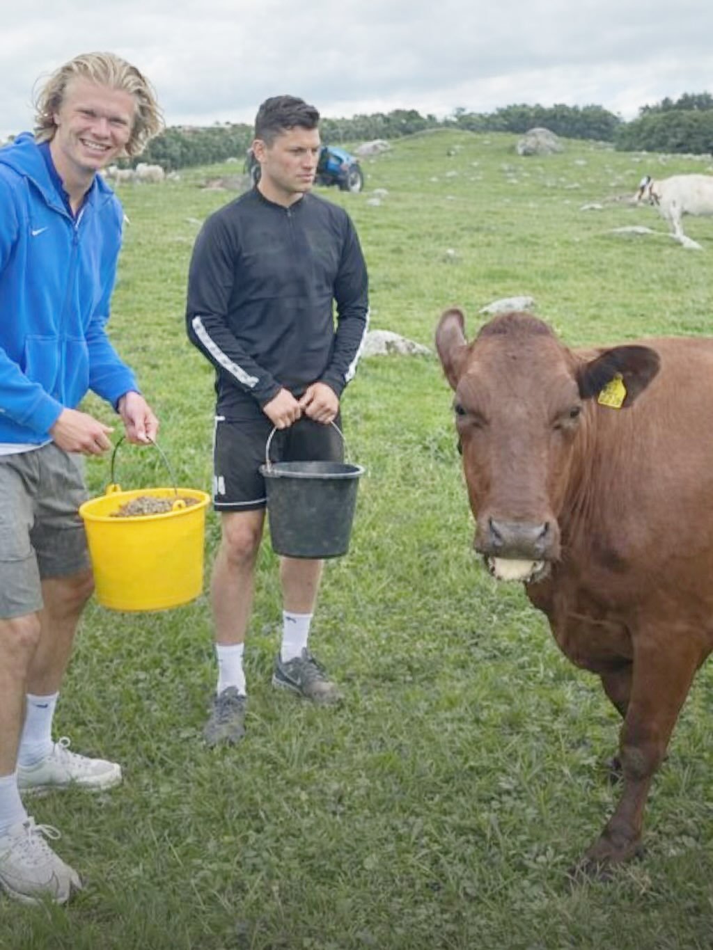 Ulduz futbolçu ferma qurub inək saxlamaq istəyir- Arzusu gündəm oldu - Fotolar - foto 3