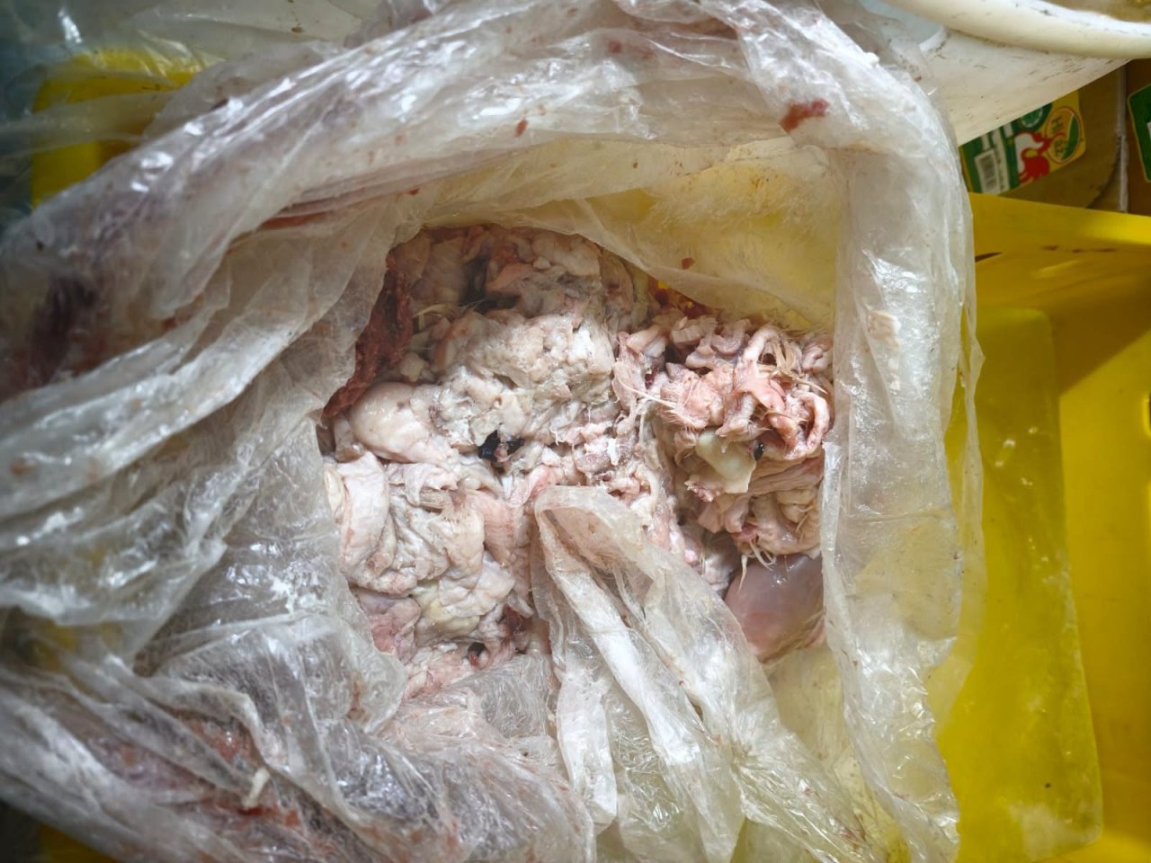 “Azəridad”da tüklü toyuqlardan kolbasa hazırlayırmışlar – Fotolar - foto 2