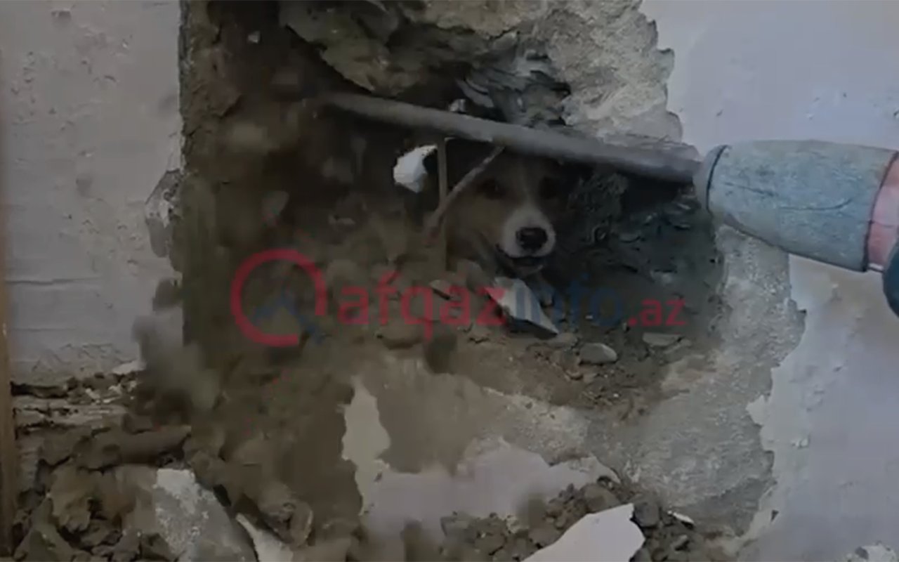 Sakinlər onun xilası üçün nazirliyə zəng etdilər&ndash; Video
