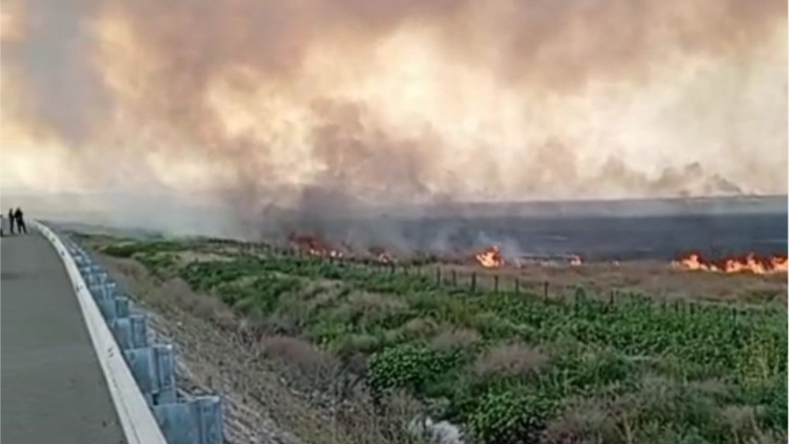 Ağdamda açıq ərazi YANIR - FOTO/VİDEO - foto 2