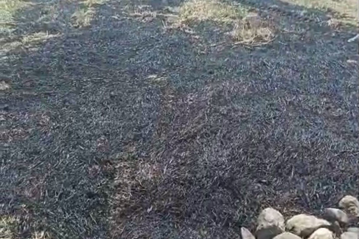Oğuzda yanğın törədən şəxs məsuliyyətə cəlb olundu – FOTO - foto 1