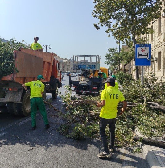Bakıda sınan ağaclar yollardan götürüldü– FOTO - foto 8