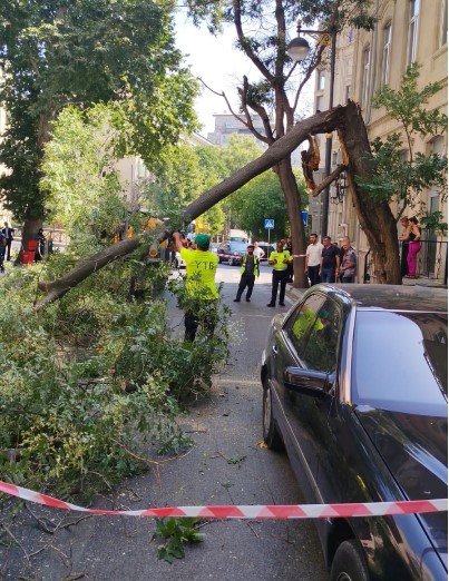 Bakıda sınan ağaclar yollardan götürüldü– FOTO - foto 4