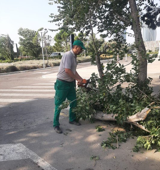 Bakıda sınan ağaclar yollardan götürüldü– FOTO - foto 2