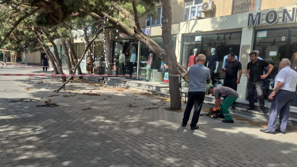 Bakıda sınan ağaclar yollardan götürüldü– FOTO - foto 6