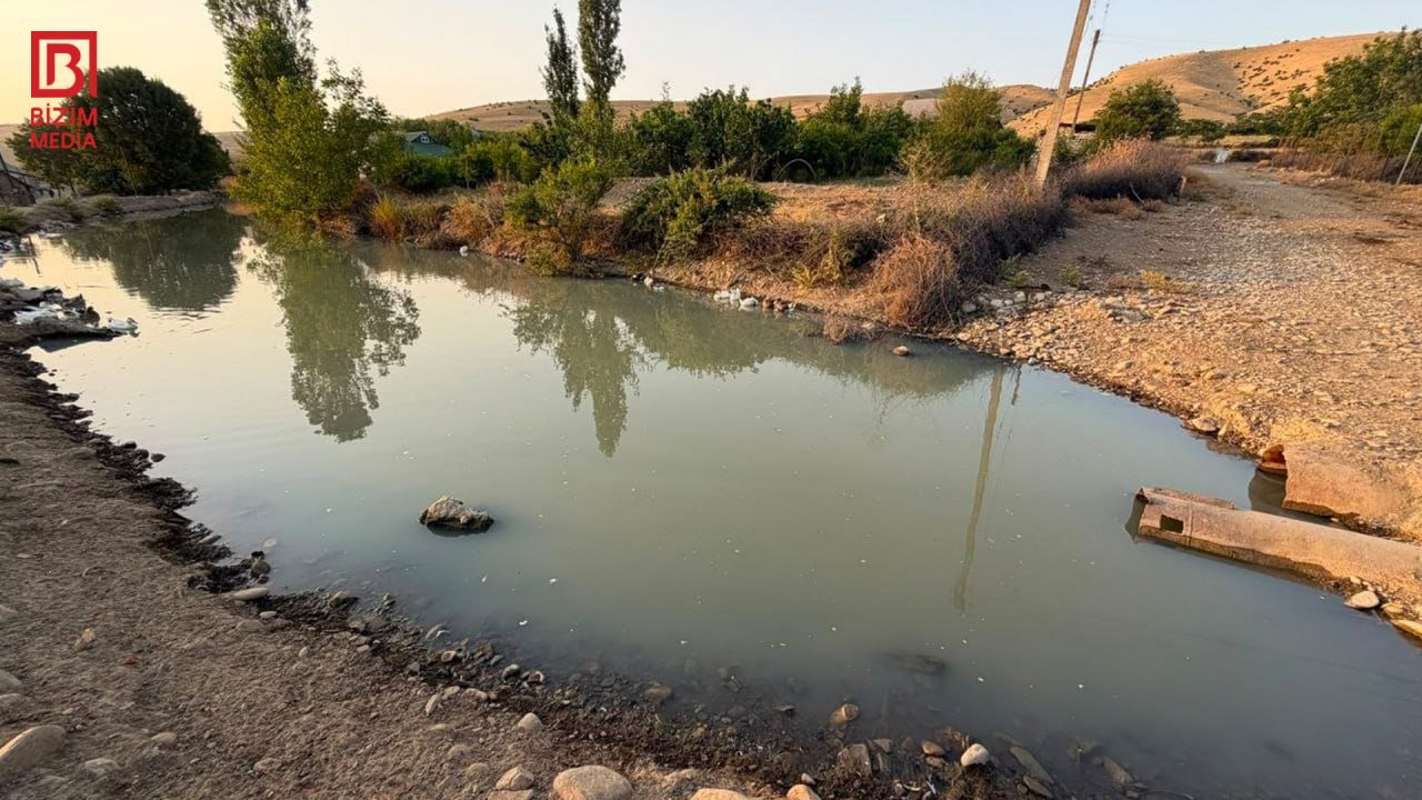 Göyçayda kənd sakinlərinin su PROBLEMİ: Rəngi və qoxusu kəskin dəyişib – FOTO - foto 10