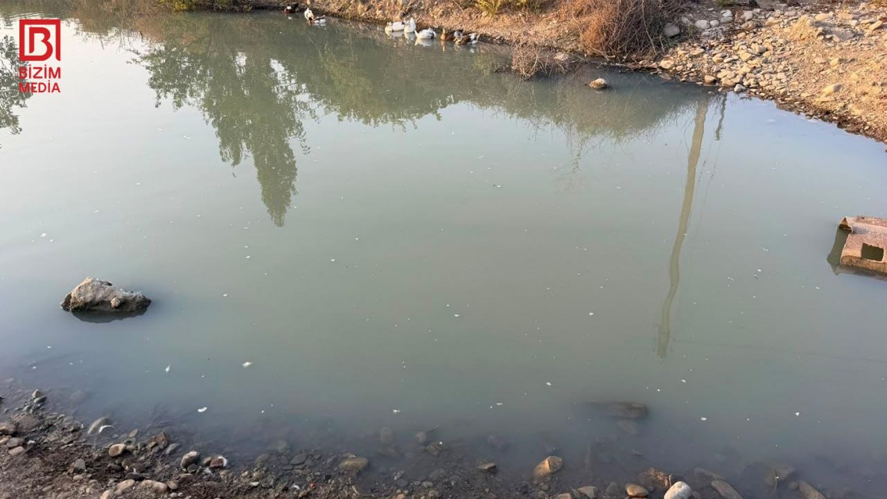 Göyçayda kənd sakinlərinin su PROBLEMİ: Rəngi və qoxusu kəskin dəyişib – FOTO - foto 5