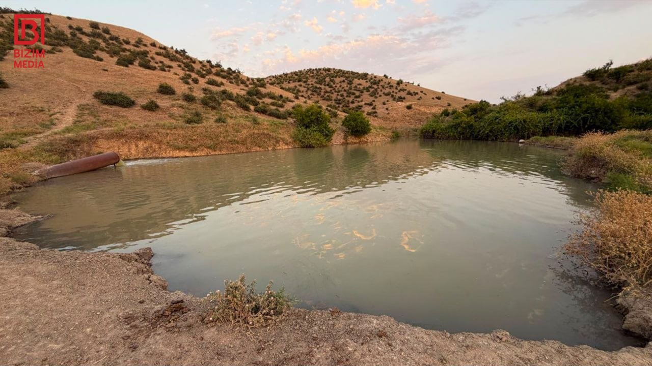 Göyçayda kənd sakinlərinin su PROBLEMİ: Rəngi və qoxusu kəskin dəyişib – FOTO - foto 11