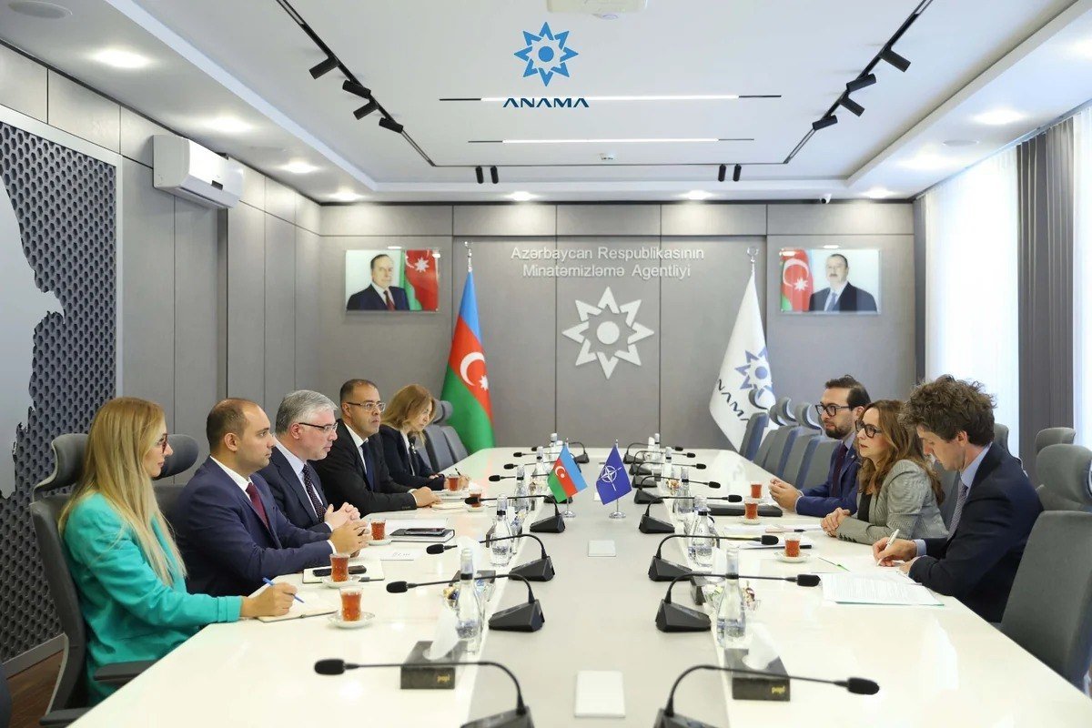 Azərbaycan ilə NATO arasında əməkdaşlıq müzakirə olundu
