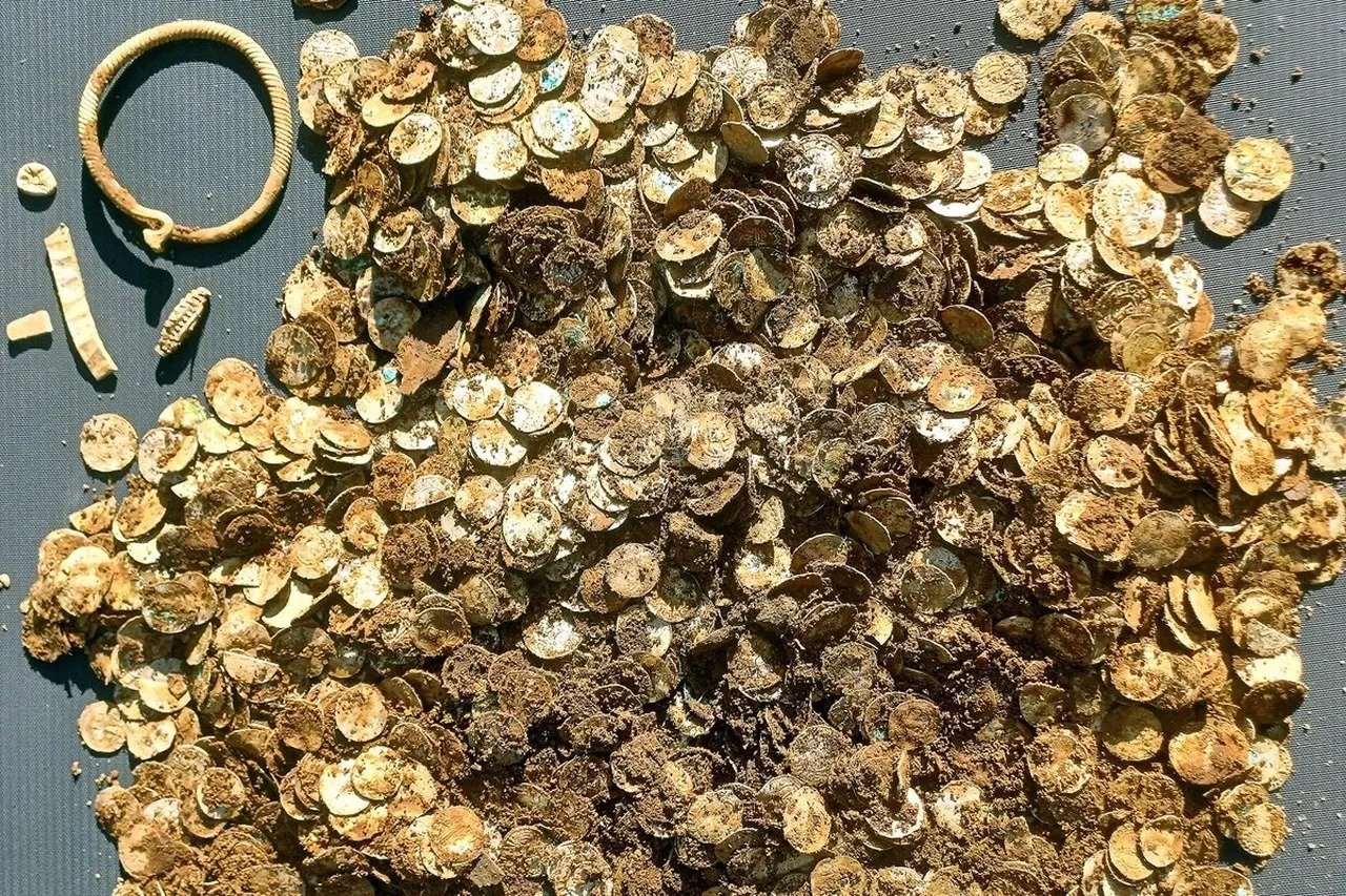 Ağac qabığından xəzinə tapıldı: Qızıl və gümüş hər yerə səpələnib – FOTO - foto 1