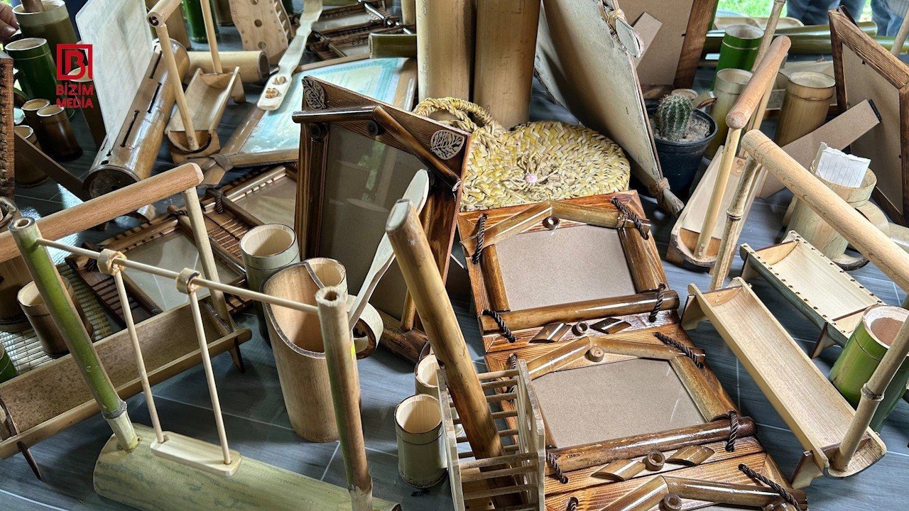 50 günə yetişdirdiyi ağacları biznesə çevirdi – Lənkəranlı fermerin bambuk “meşəsi” – FOTO - foto 4