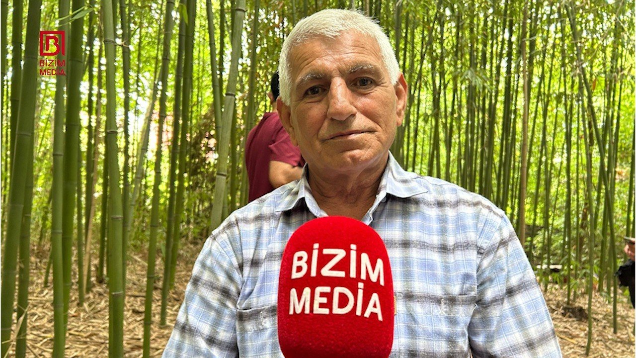 50 günə yetişdirdiyi ağacları biznesə çevirdi – Lənkəranlı fermerin bambuk “meşəsi” – FOTO 50 günə yetişdirdiyi ağacları biznesə çevirdi – Lənkəranlı fermerin bambuk “meşəsi” – FOTO