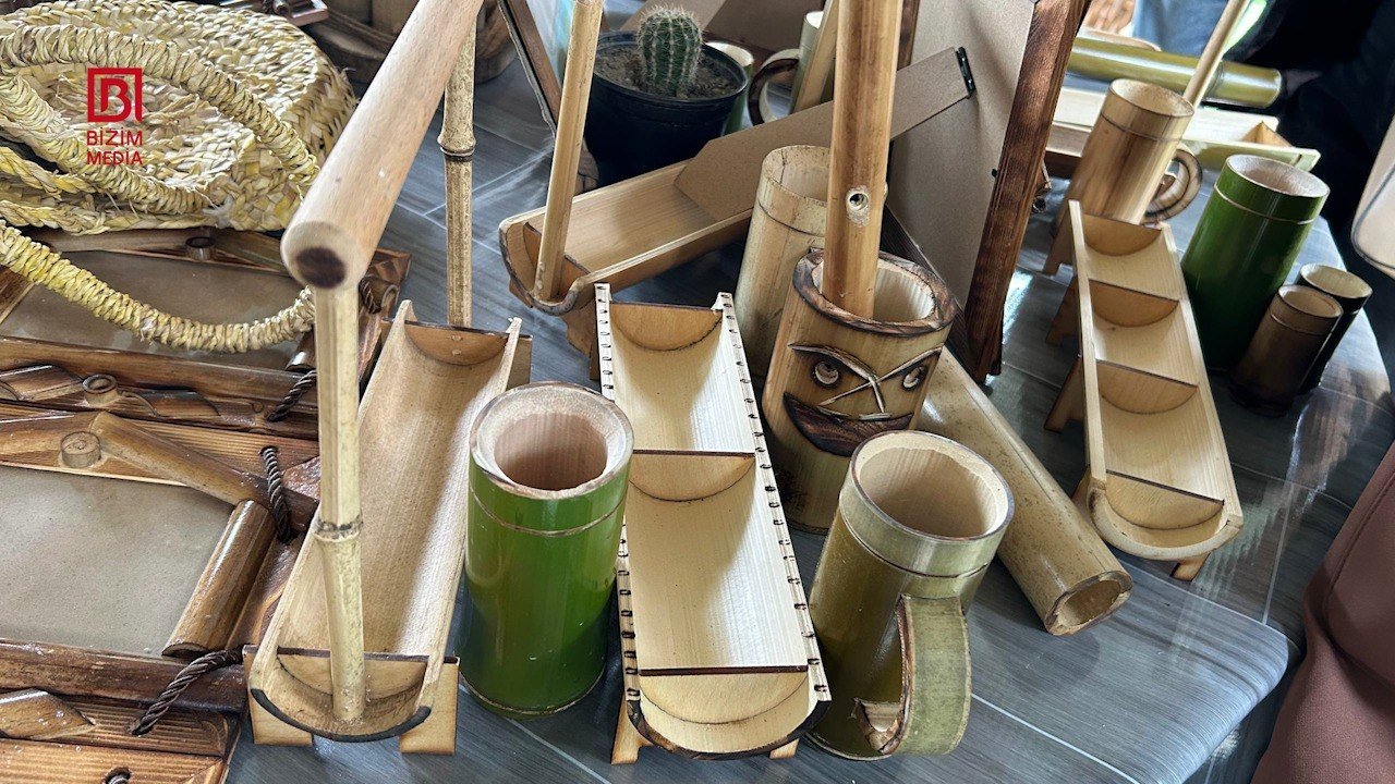 50 günə yetişdirdiyi ağacları biznesə çevirdi – Lənkəranlı fermerin bambuk “meşəsi” – FOTO - foto 3