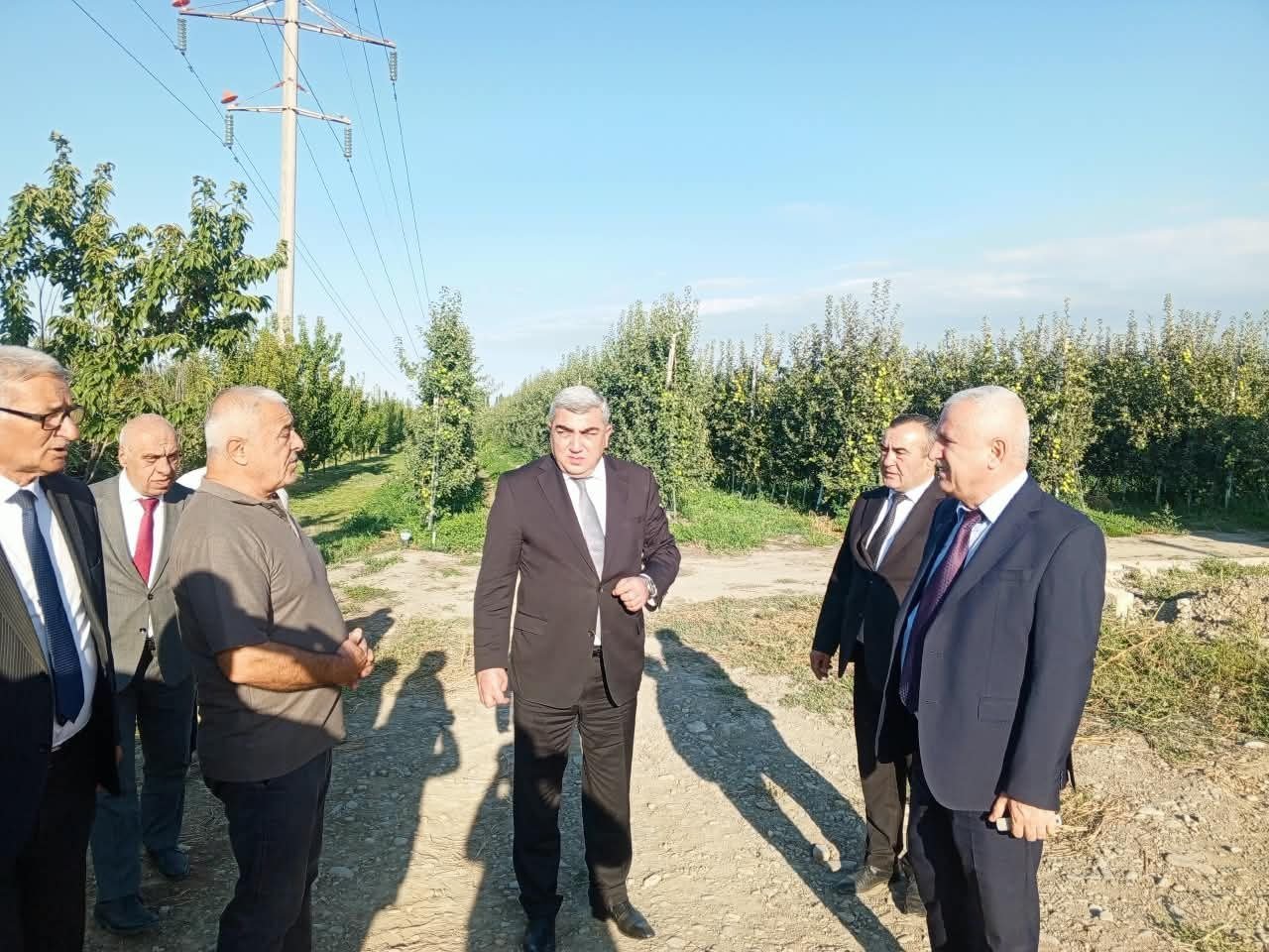 Quba rayonunda kənd təsərrüfatı subyektlərinə baxış keçirildi - FOTO - foto 11
