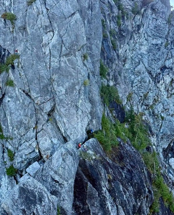 Süni intellektə inanmaq onu uçuruma apardı - Fotolar - foto 3