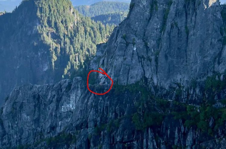 Süni intellektə inanmaq onu uçuruma apardı - Fotolar - foto 2