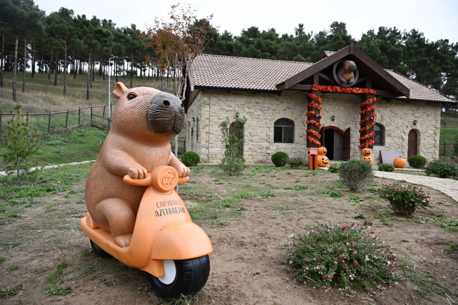 Leyla Əliyeva Şamaxıda “Capybara Azerbaijan” fermasında olub - FOTO - foto 6
