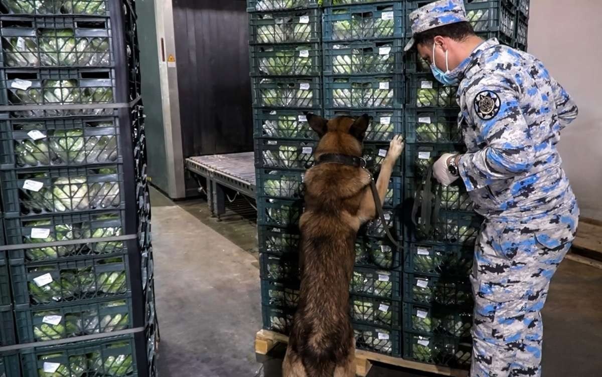 İrandan Azərbaycana 97 kiloqram marixuananın keçirilməsinin qarşısı alındı - FOTO - foto 1