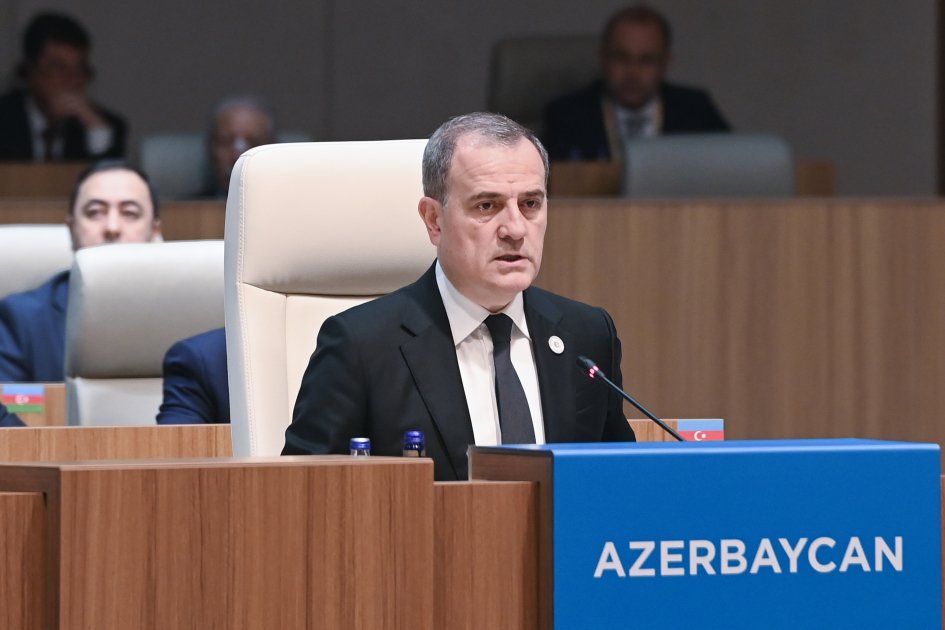 Ceyhun Bayramov TDT sammitində çıxış etdi – Sülh sazişi ilə bağlı çağırış - Foto - foto 5