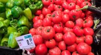 Rusiyanın qadağan etdiyi pomidorlar Azərbaycan bazarlarında – AQTA isə susur