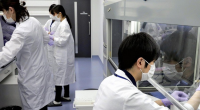 Yaponiyada koronavirusun tam yeni ştammı aşkarlandı