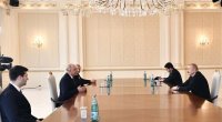 Prezident Milliyətçi Hərəkat Partiyasının sədr müavinini qəbul edib