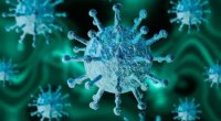 “Koronavirus bizə hələ çoxlu sürpizlər hazırlayıb” - EKSPERT