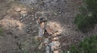 Nizami rayonunda ağaclar kəsilir – Nazirlik ərazinin sahibini axtarır