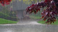 XƏBƏRDARLIQ: Bakıda intensiv yağış yağacaq