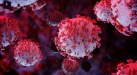 Koronavirusun yeni mutasiyası aşkarlandı