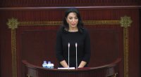 «Azərbaycan bütün hərbi əsirləri Ermənistana qaytarıb» - Avropa Ombudsman İnstitutuna MƏKTUB