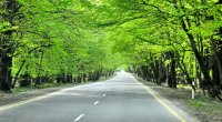 İsmayıllı-Qəbələ yolu bağlandı - FOTO